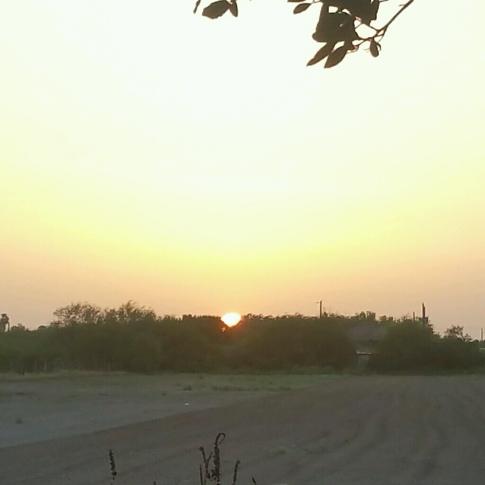 Meet your Posher, Mari